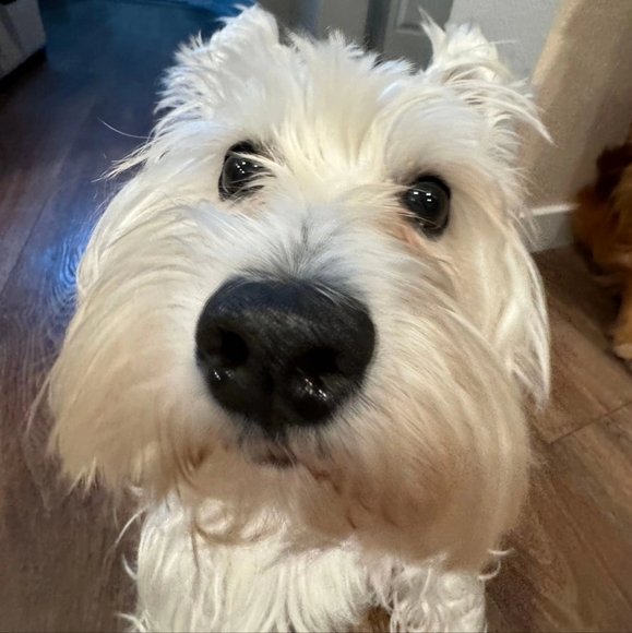 Hiya ππ» - Picture 5 of 11